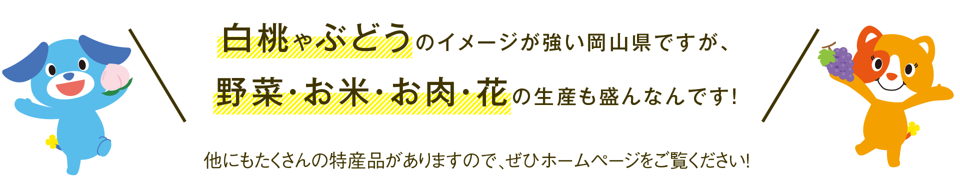 白桃やぶどうのイメージが強い岡山県ですが、野菜・お米・お肉・花の生産も盛んなんです！他にもたくさんの特産品がありますので、ぜひホームページをご覧ください！
