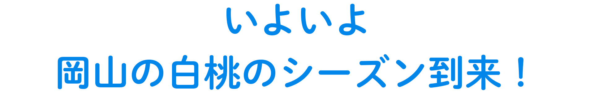 いよいよ、岡山の白桃のシーズン到来！