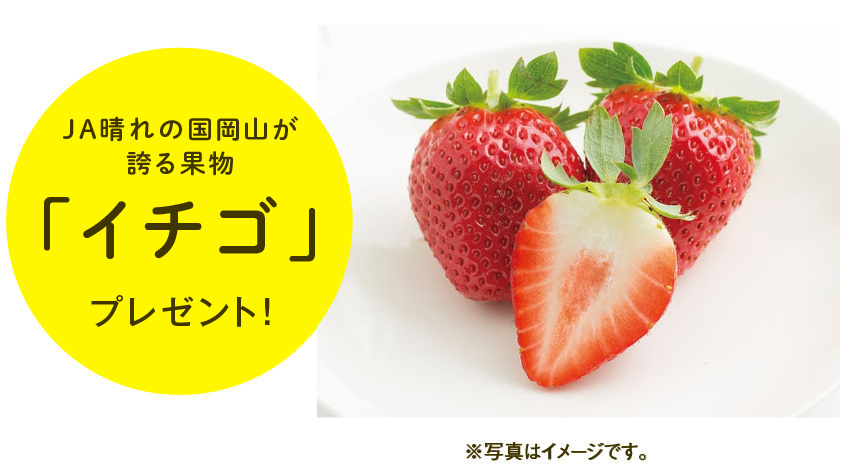 岡山が誇る果物「イチゴ」プレゼント！