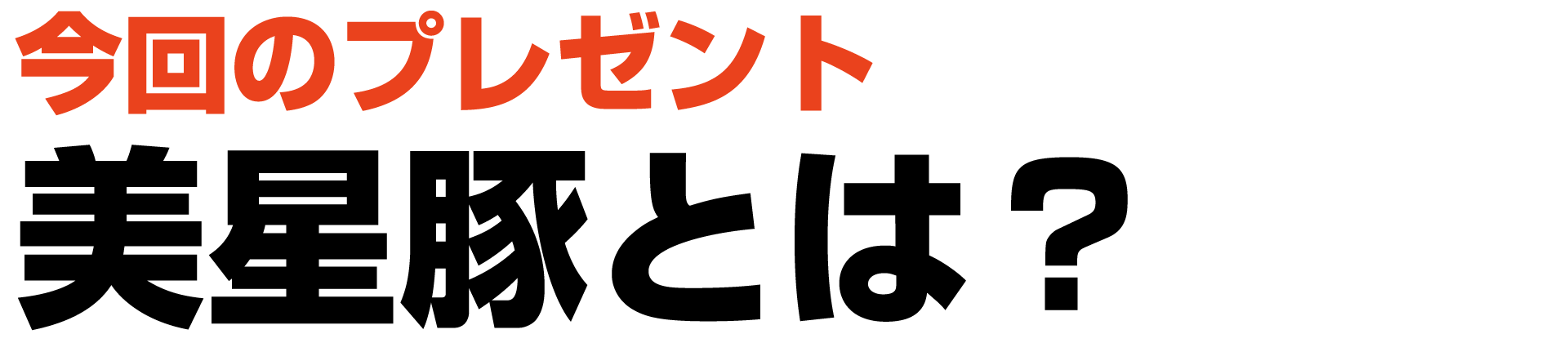 今回のプレゼント 美星豚とは？