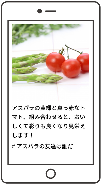 食材の応募イメージ