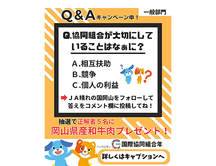 キャンペーン投稿のイメージ