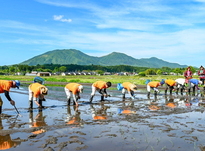 蒜山を背景にした田植えの写真