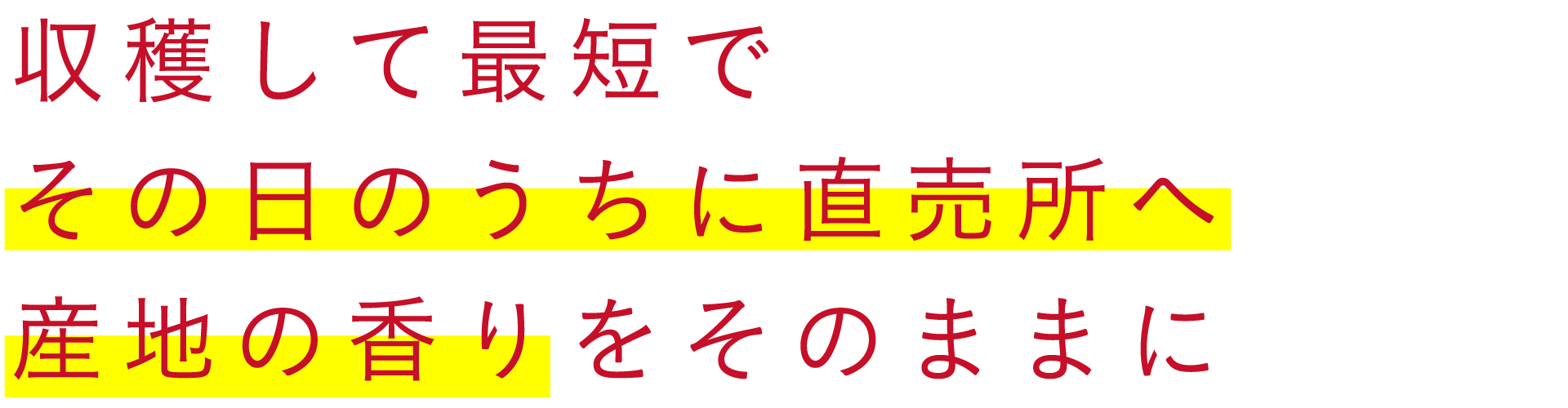 収穫して最短でその日のうちに直売所へ 産地の香りをそのままに