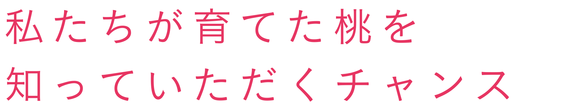 私たちが育てた桃を知っていただくチャンス