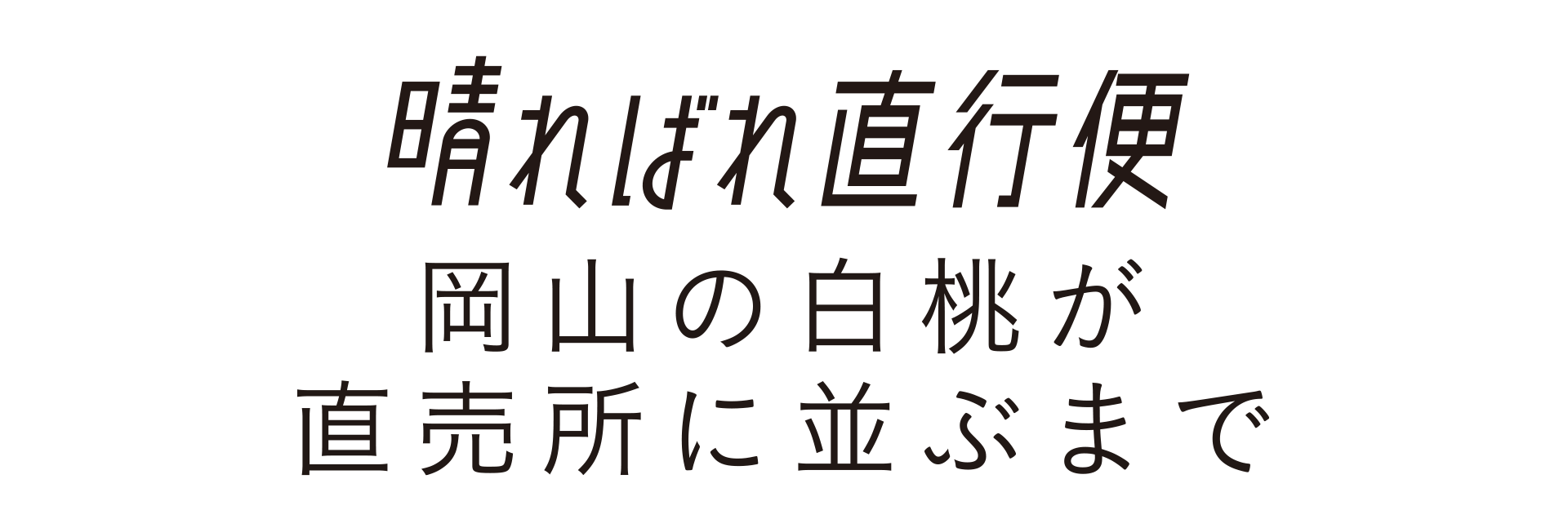 岡山の白桃が直売所に並ぶまで