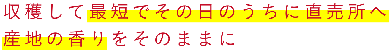 収穫して最短でその日のうちに直売所へ 産地の香りをそのままに