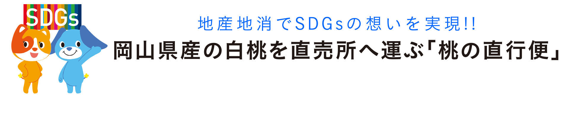 地産地消でSDGsの想いを実現!!岡山県産の白桃を直売所へ運ぶ「桃の直行便」