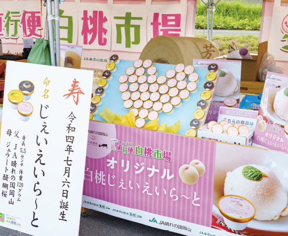 白桃じぇいえいらーとの売り場