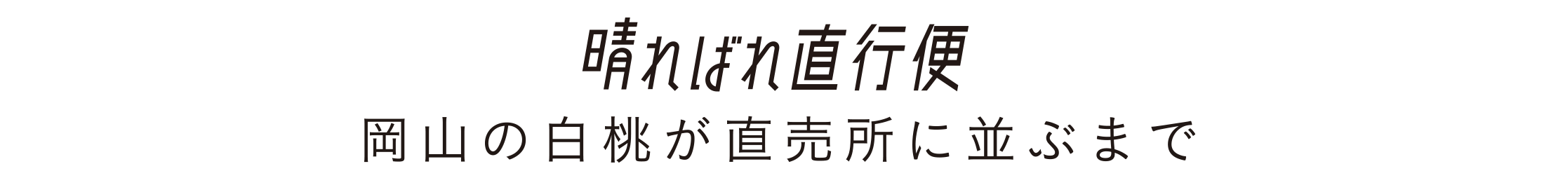 岡山の白桃が直売所に並ぶまで