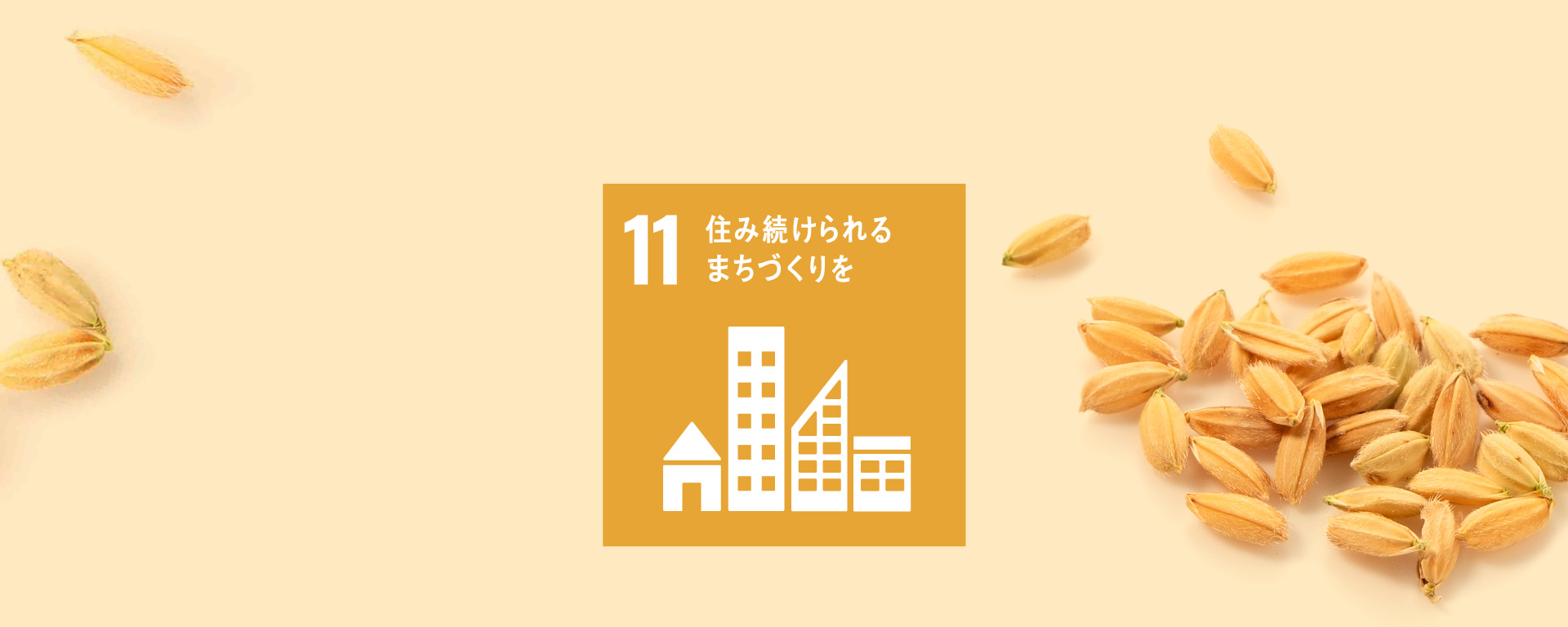 SDGs 11 住み続けられるまちづくりを