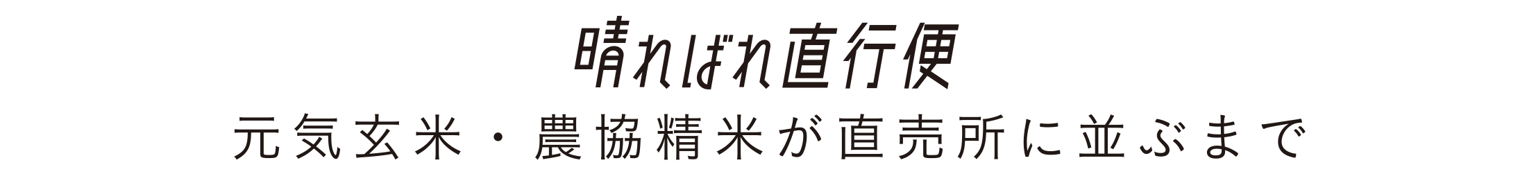 元気玄米・農協精米が直売所に並ぶまで