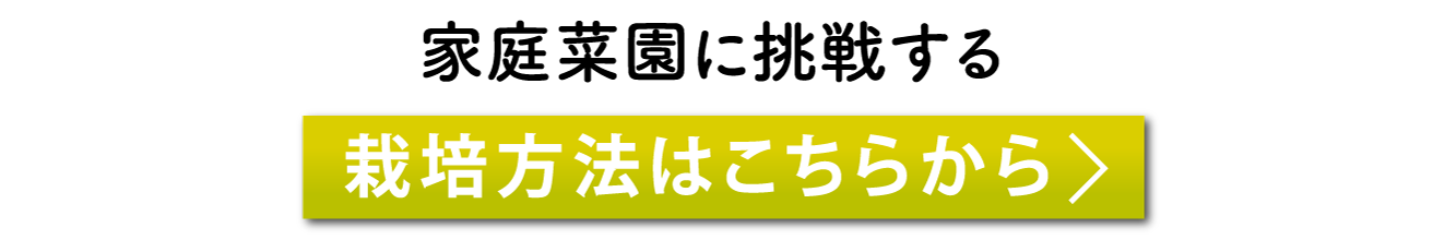 家庭菜園に挑戦する