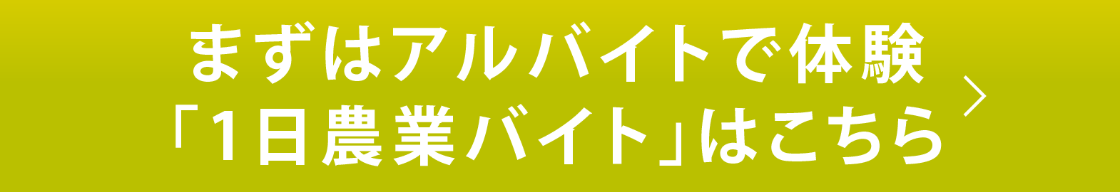 まずはアルバイトで体験 「1日農業バイト」はこちら