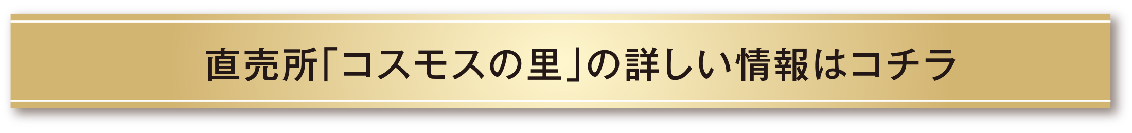 直売所「コスモスの里」の詳しい情報はコチラ