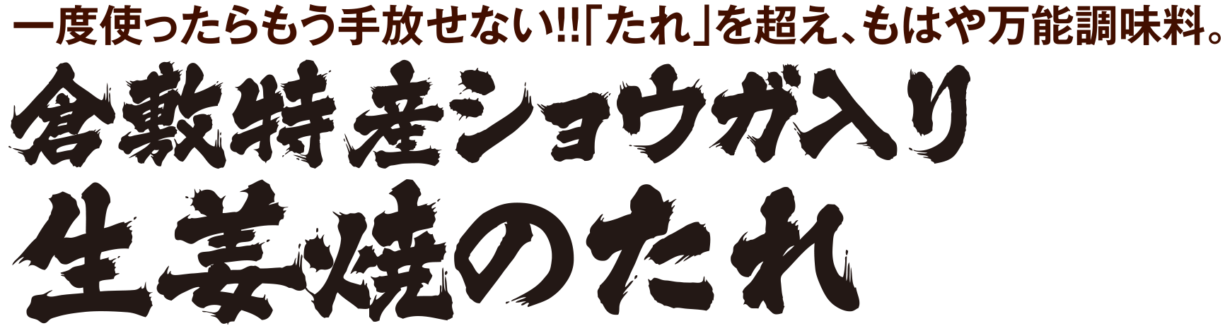 倉敷特産ショウガ入り 生姜焼のたれ