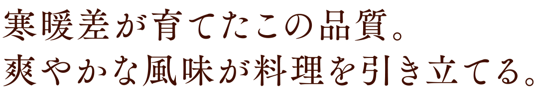 寒暖差が育てたこの品質。爽やかな風味が料理を引き立てる