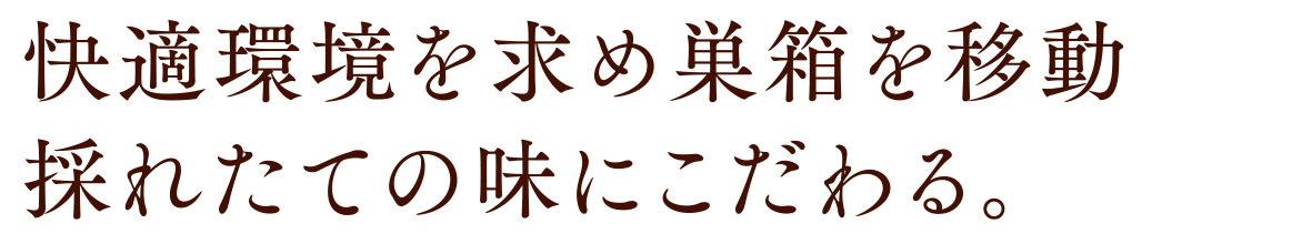 快適環境を求め巣箱を移動採れたての味にこだわる。