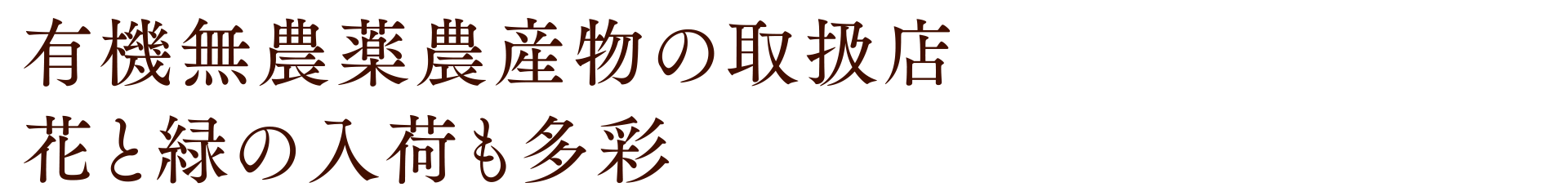 有機無農薬農産物の取扱店 花と緑の入荷も多彩