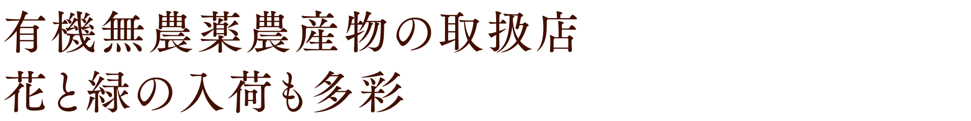 月に１度はイベント開催 おいしいものを見つけてください