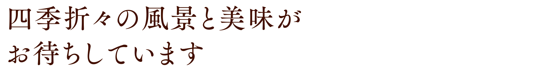 四季折々の風景と美味がお待ちしています