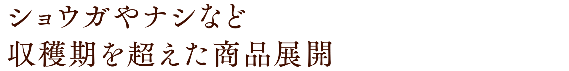 ショウガやナシなど収穫期を超えた商品展開