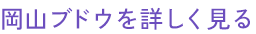 岡山ブドウを詳しく見る