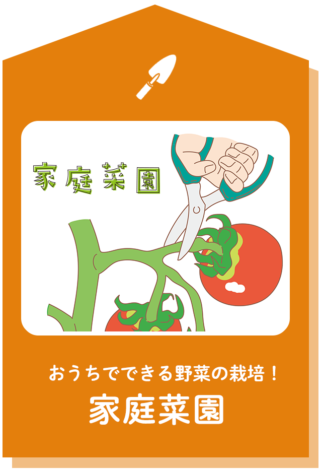 おうちでできる野菜の栽培！家庭菜園
