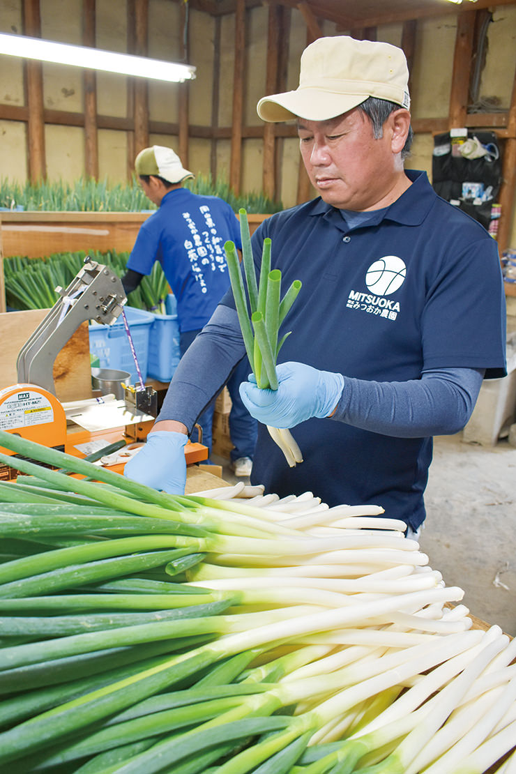 根や葉切り、選別、袋詰めなど従業員と流れ作業で出荷準備をする光岡さんの写真