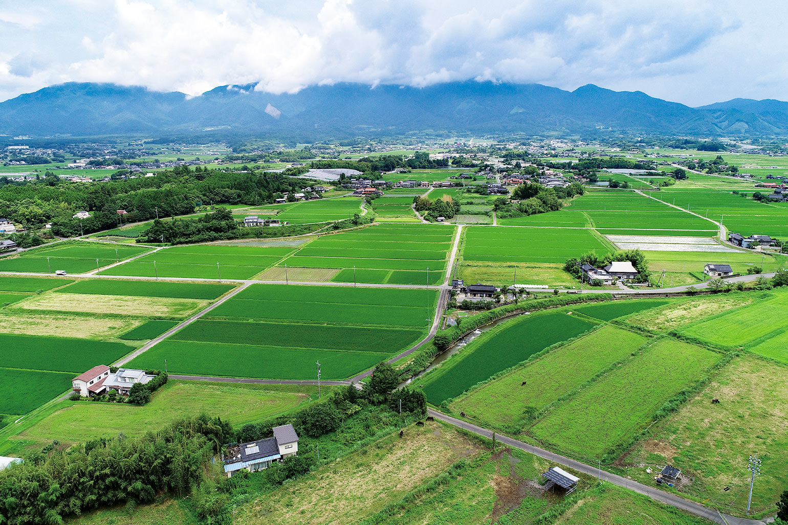 勝田郡奈義町の写真