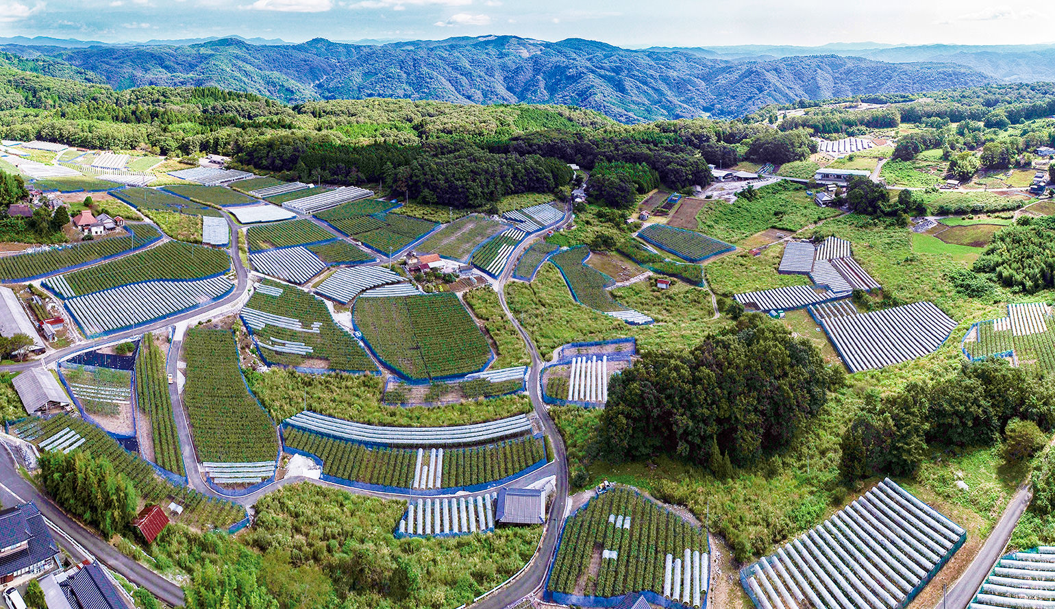 新見市豊永地区 の写真