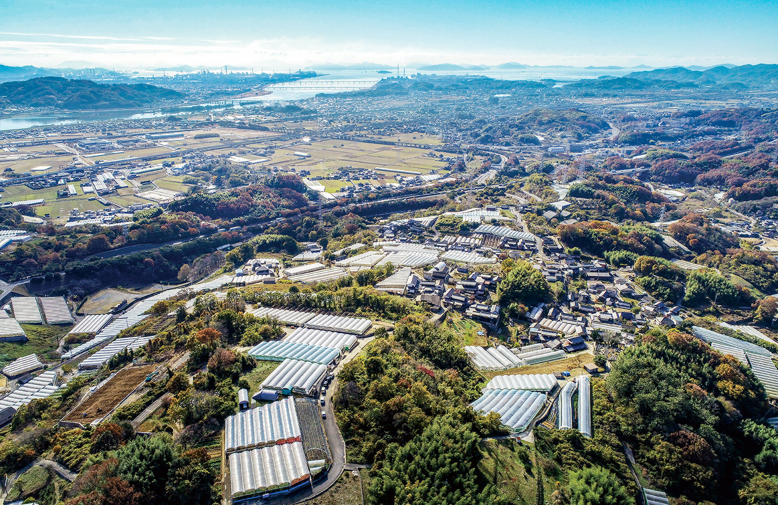 倉敷市船穂町の写真