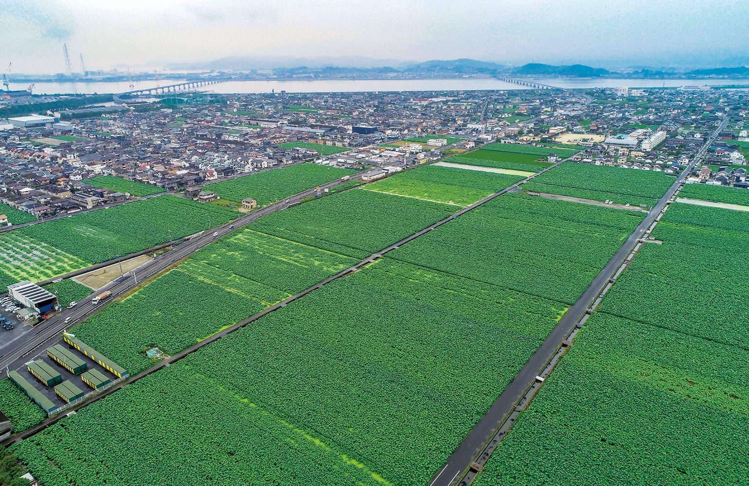 倉敷市連島町の写真