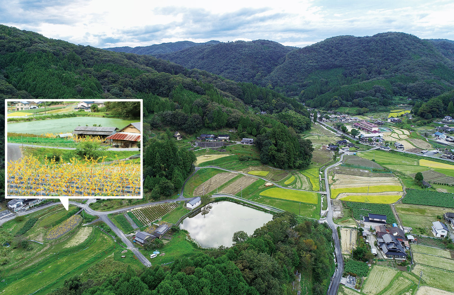 高梁市中井町の写真