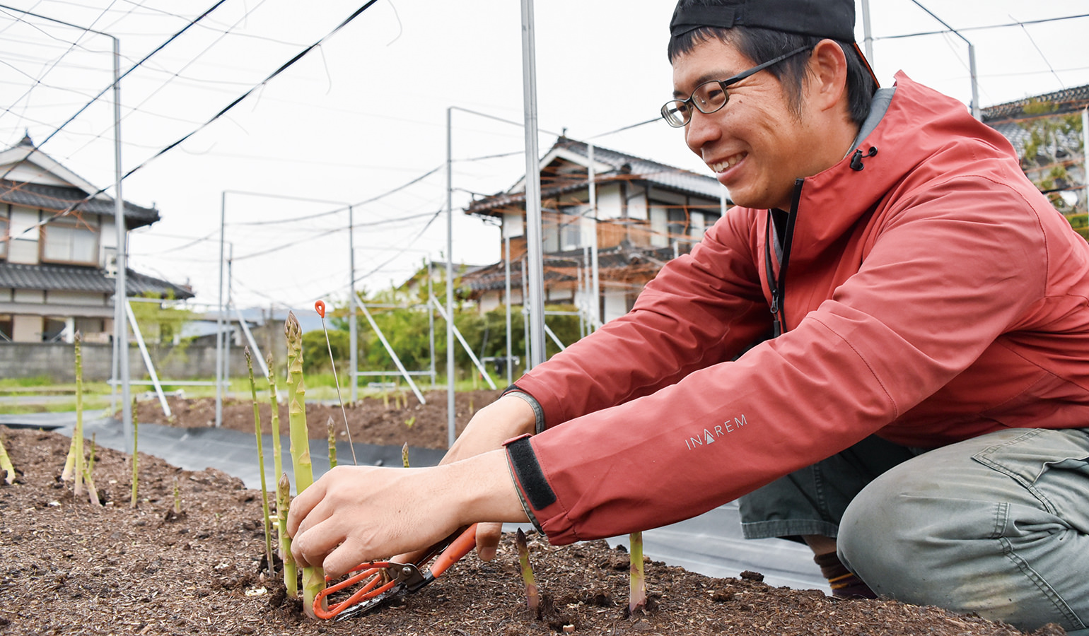 2年目の収穫に向け意気込む福原さんの写真