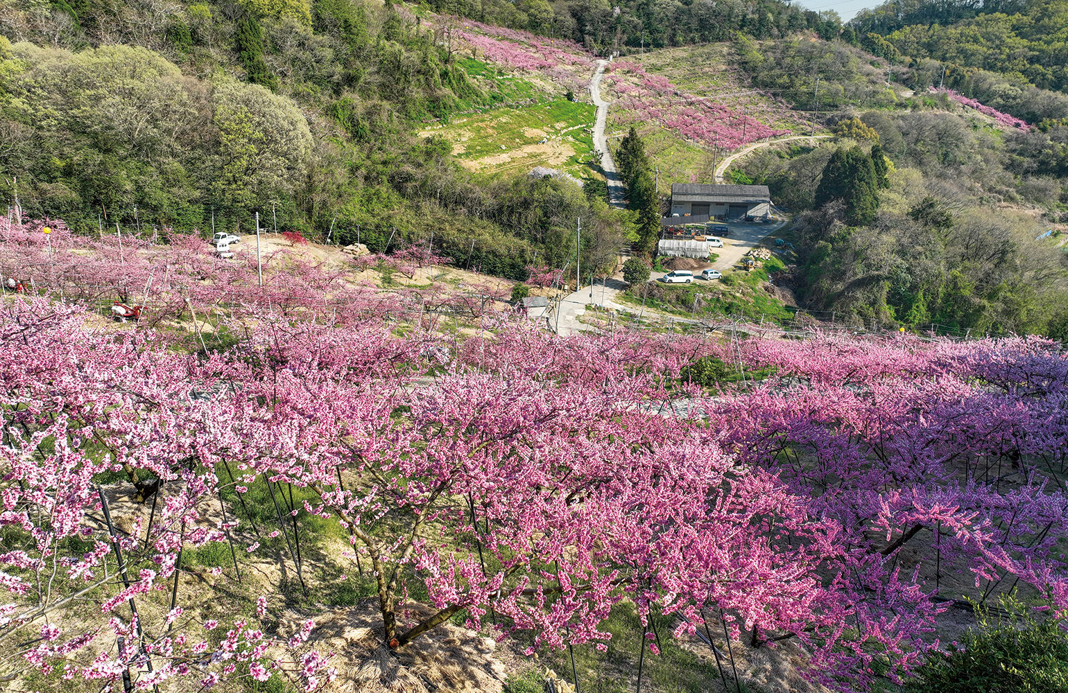 倉敷市玉島北地区の写真