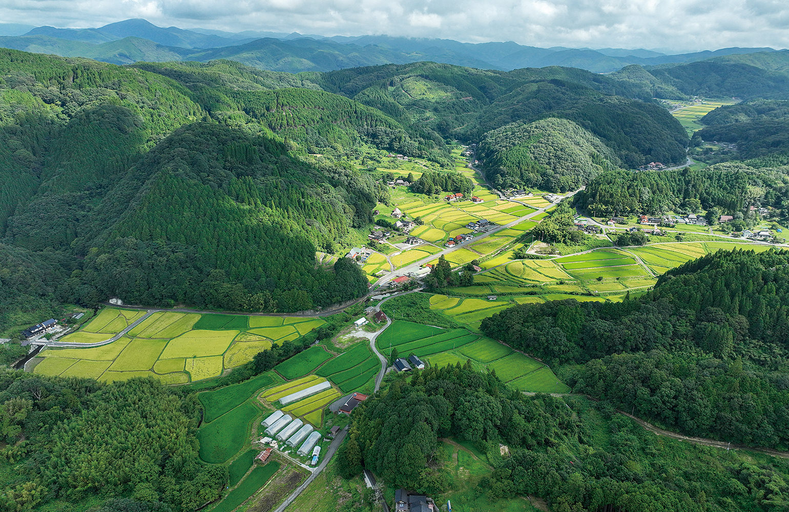 新見市哲西町大野部地区の写真