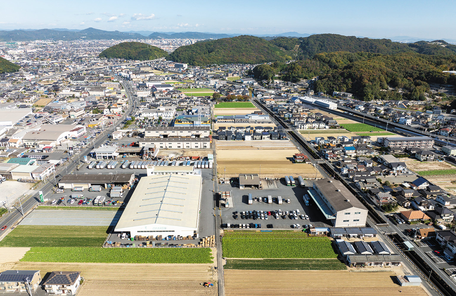 倉敷市連島町(砂地の畑が点在し、ゴボウの葉が青々と茂る)