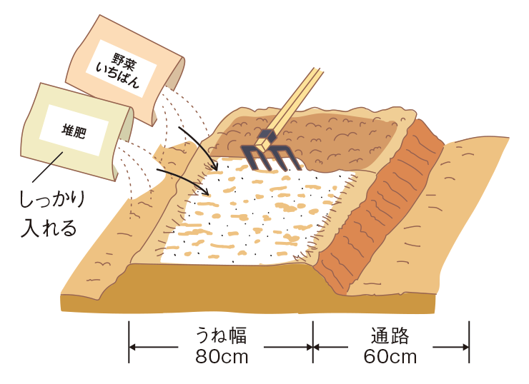 図：ベッドを作り、全面に元肥えを施し、土とよく混ぜる。