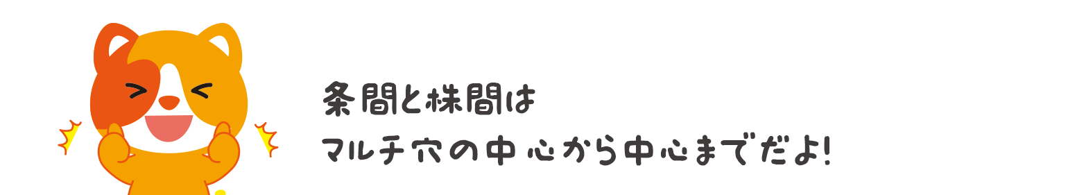 サン「条間と株間はマルチ穴の中心から中心までだよ！」