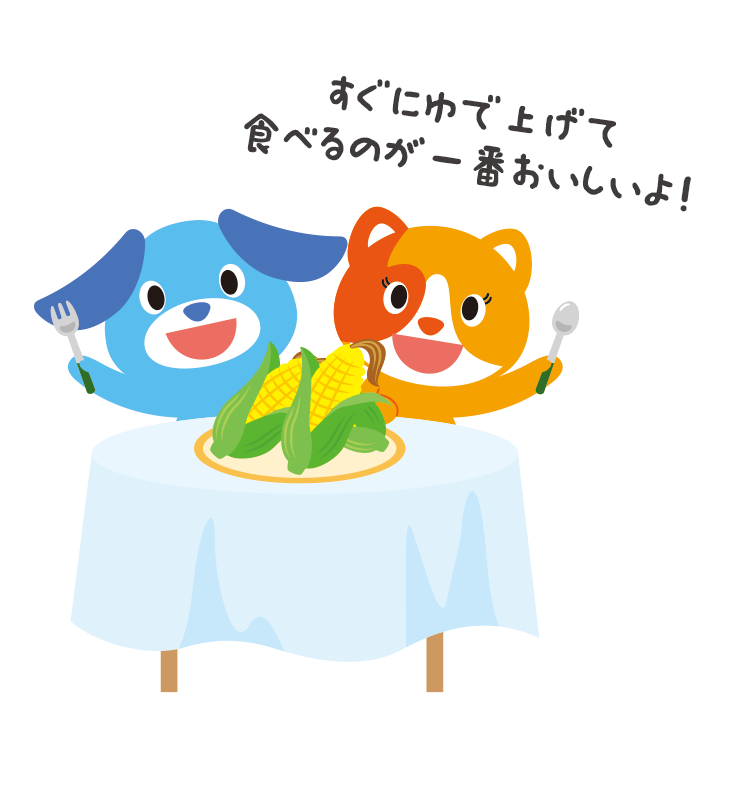 ソラとサン「すぐにゆで上げて食べるのが一番おいしいよ！」