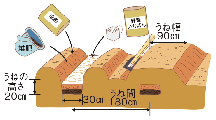 図：畝を作る