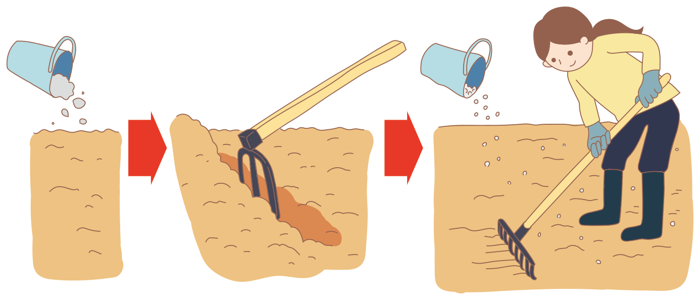 図：畑の準備