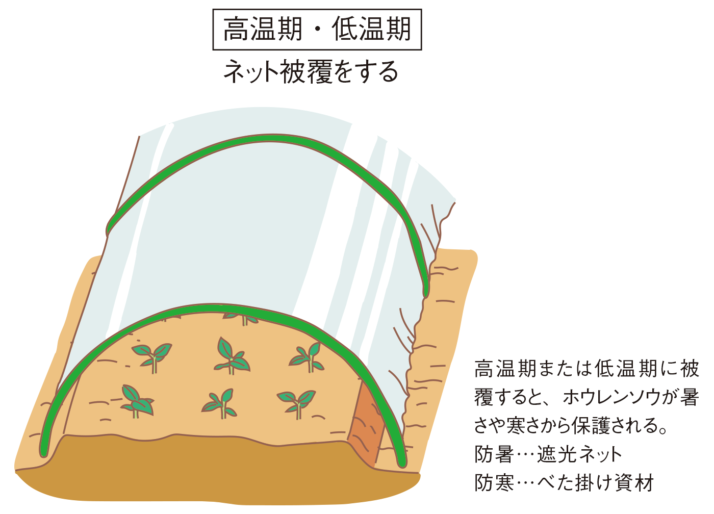 図：高温期・低温期