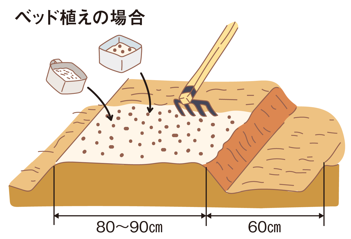 図：ベッド植えの場合