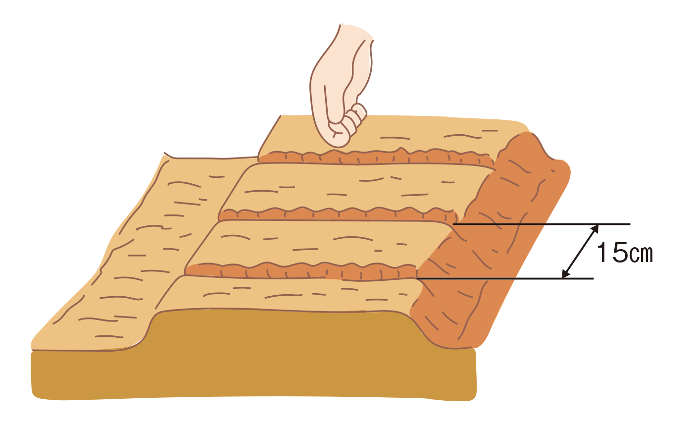 図：種まき