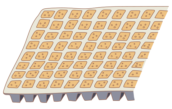 図:苗づくり