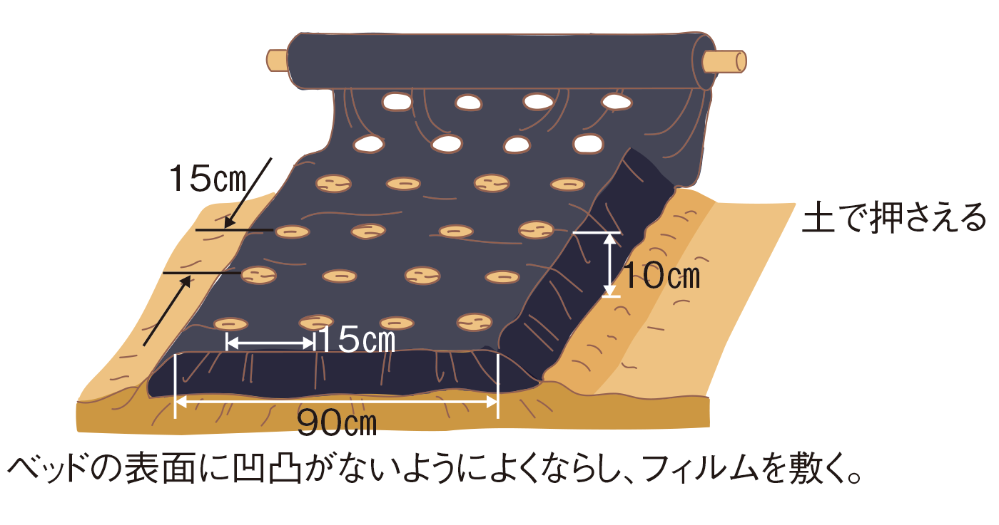 図：畝づくり