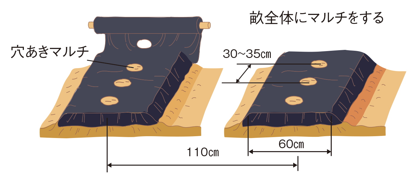 図：畑の準備