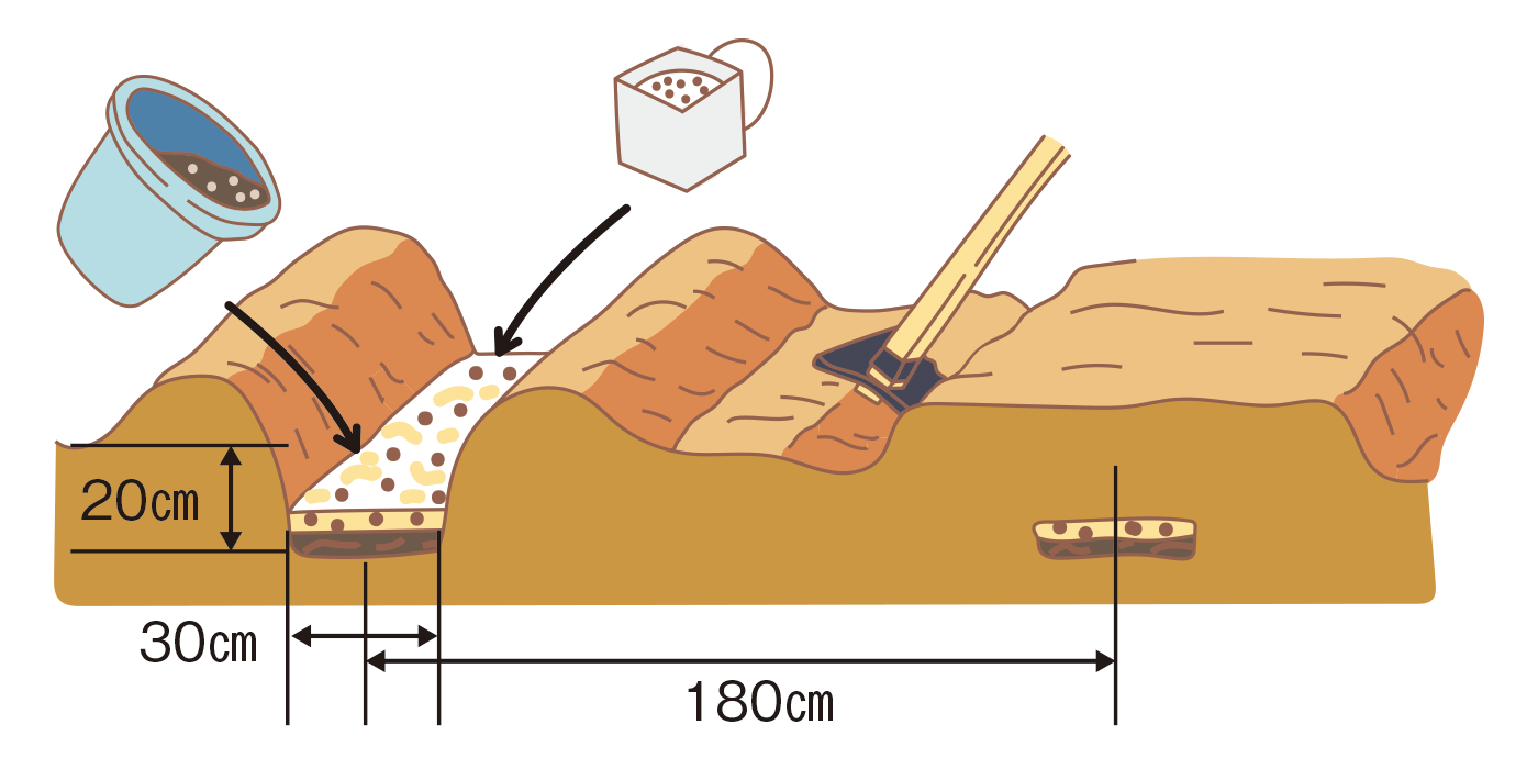 図：元肥入れ